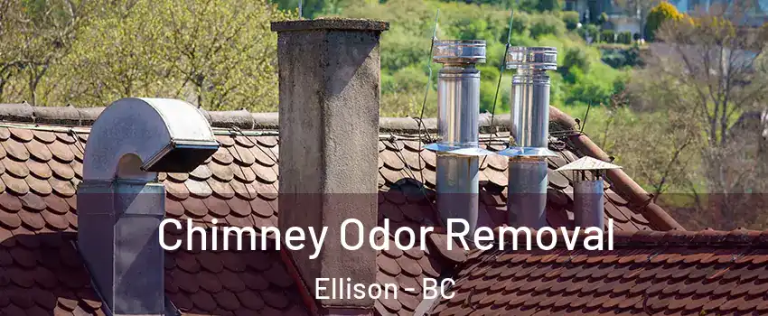  Chimney Odor Removal Ellison - BC