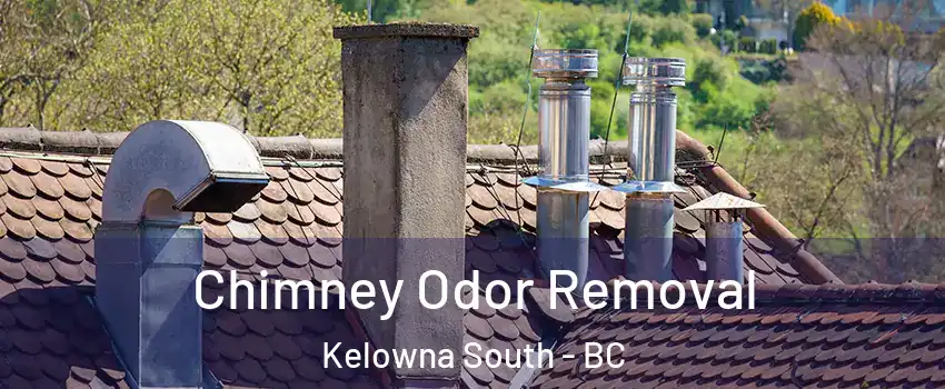  Chimney Odor Removal Kelowna South - BC
