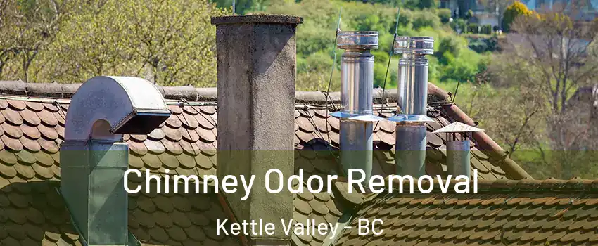  Chimney Odor Removal Kettle Valley - BC