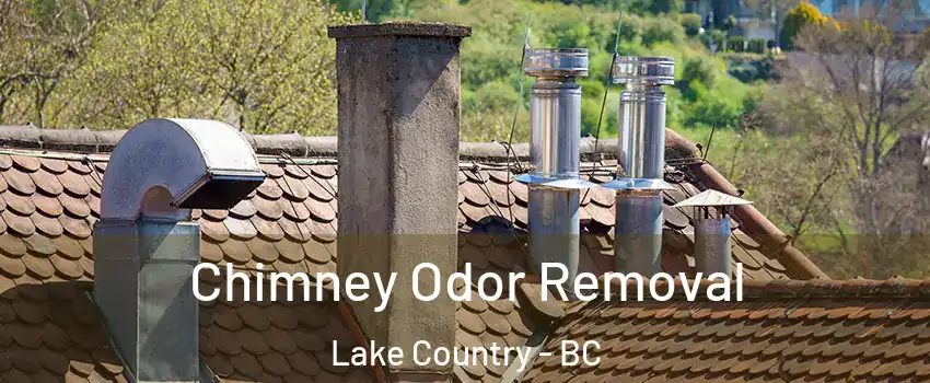  Chimney Odor Removal Lake Country - BC