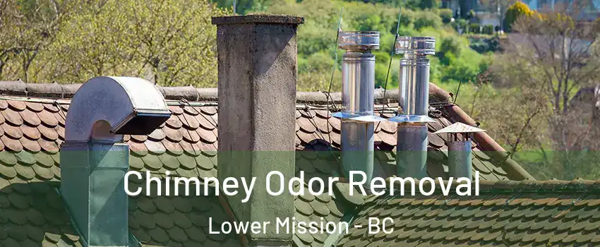  Chimney Odor Removal Lower Mission - BC