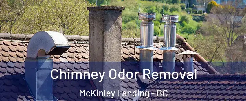  Chimney Odor Removal McKinley Landing - BC