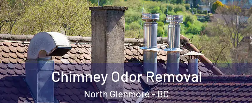  Chimney Odor Removal North Glenmore - BC