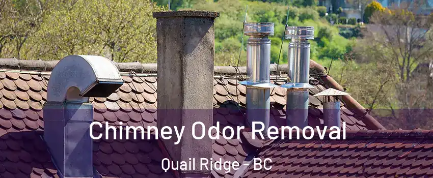  Chimney Odor Removal Quail Ridge - BC
