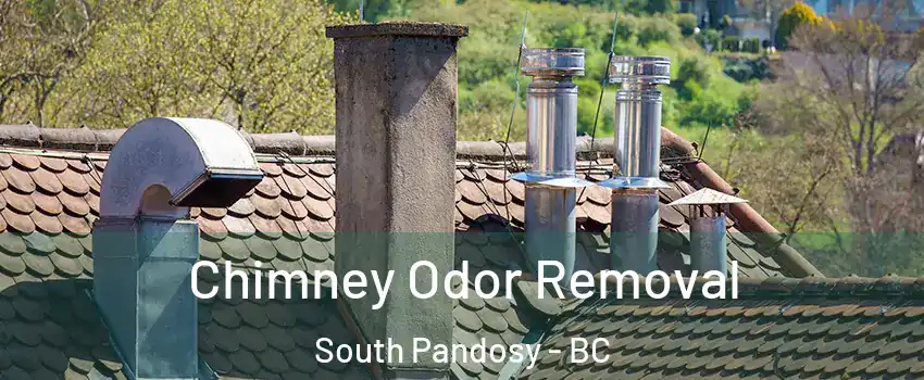  Chimney Odor Removal South Pandosy - BC
