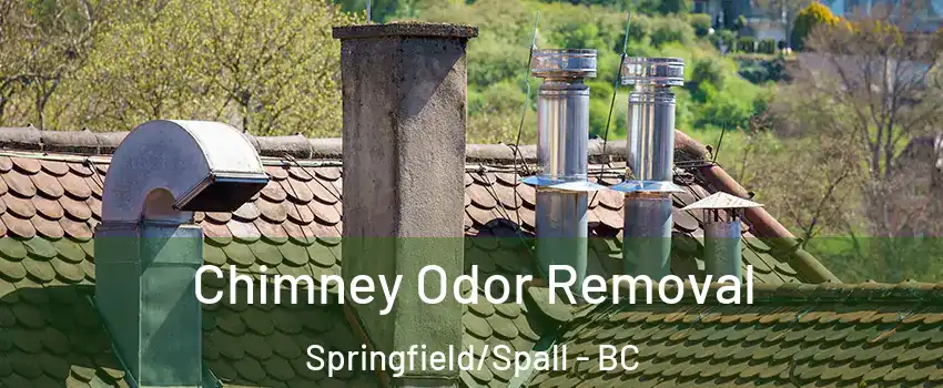  Chimney Odor Removal Springfield/Spall - BC