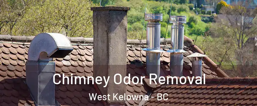  Chimney Odor Removal West Kelowna - BC