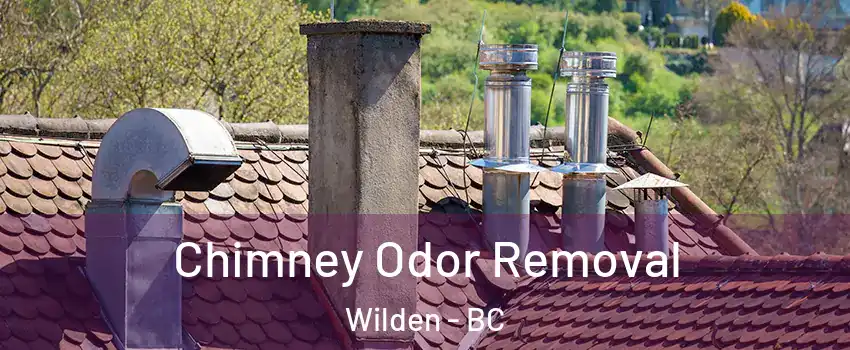  Chimney Odor Removal Wilden - BC