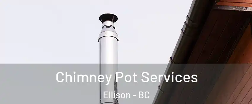 Chimney Pot Services Ellison - BC