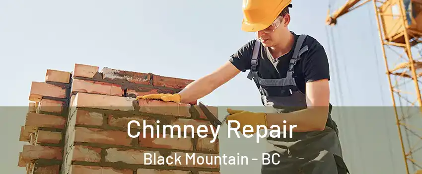  Chimney Repair Black Mountain - BC