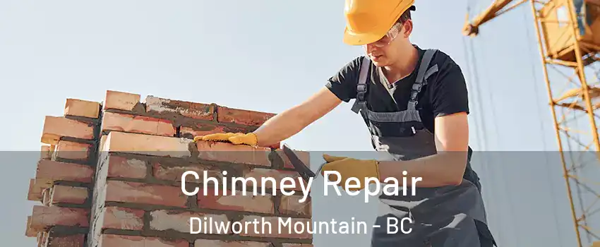  Chimney Repair Dilworth Mountain - BC