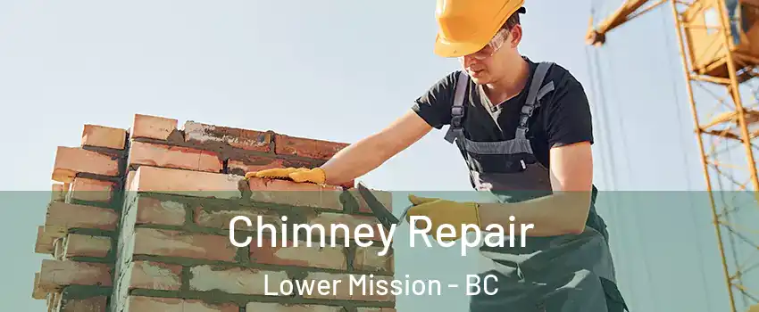  Chimney Repair Lower Mission - BC