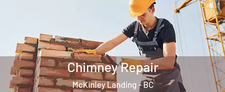  Chimney Repair McKinley Landing - BC