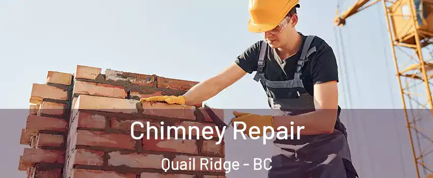  Chimney Repair Quail Ridge - BC