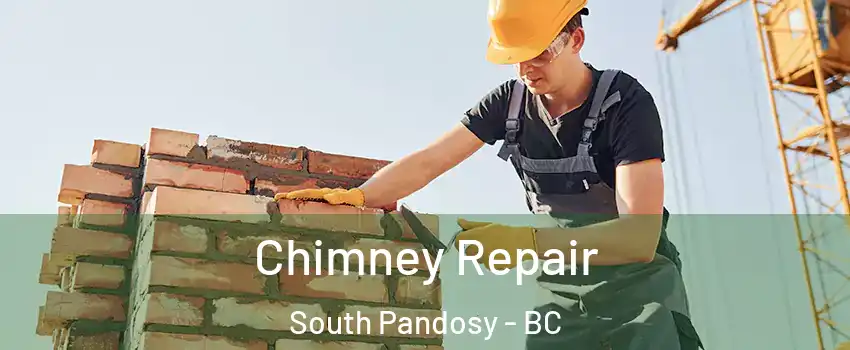  Chimney Repair South Pandosy - BC