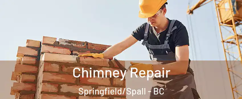  Chimney Repair Springfield/Spall - BC