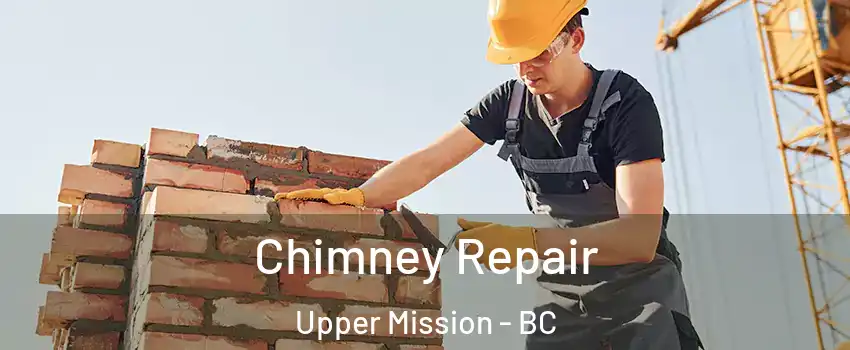  Chimney Repair Upper Mission - BC