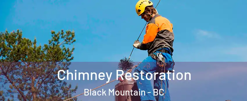  Chimney Restoration Black Mountain - BC