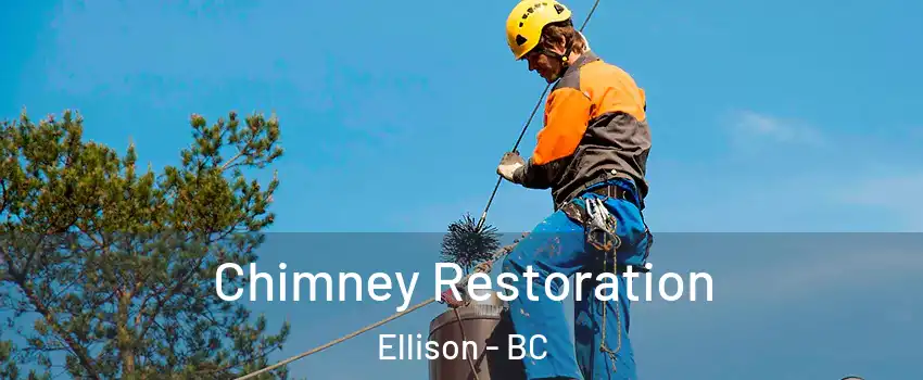  Chimney Restoration Ellison - BC