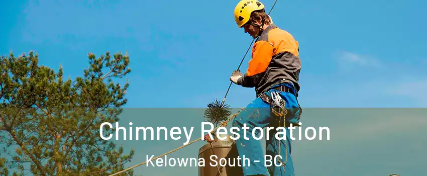  Chimney Restoration Kelowna South - BC