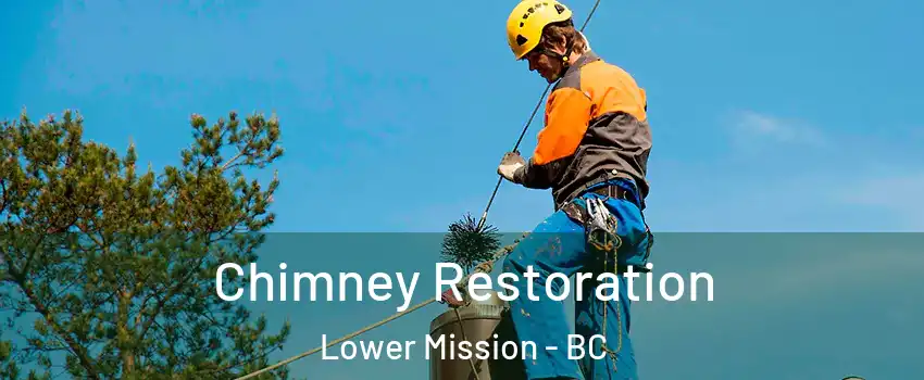  Chimney Restoration Lower Mission - BC
