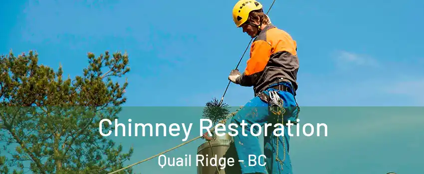  Chimney Restoration Quail Ridge - BC
