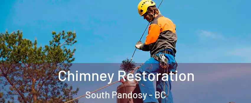 Chimney Restoration South Pandosy - BC