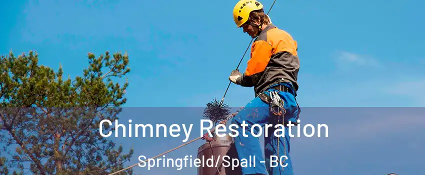  Chimney Restoration Springfield/Spall - BC