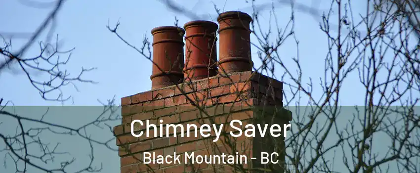  Chimney Saver Black Mountain - BC