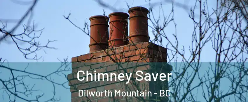  Chimney Saver Dilworth Mountain - BC