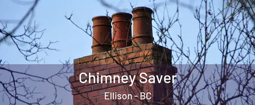  Chimney Saver Ellison - BC