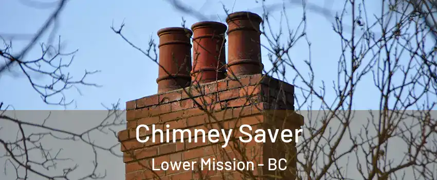  Chimney Saver Lower Mission - BC