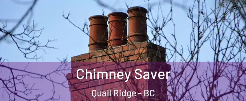  Chimney Saver Quail Ridge - BC