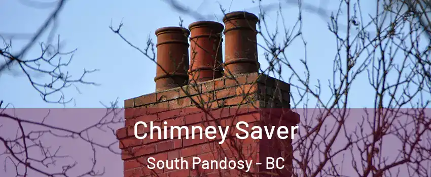  Chimney Saver South Pandosy - BC