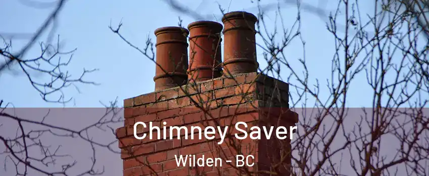  Chimney Saver Wilden - BC