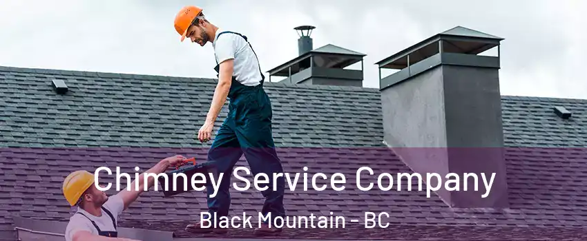  Chimney Service Company Black Mountain - BC