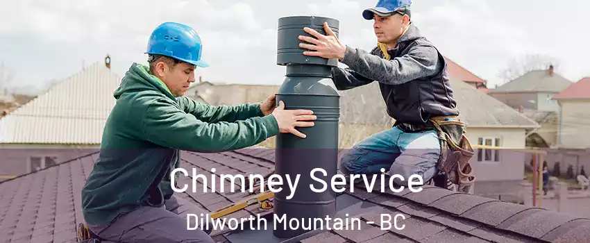  Chimney Service Dilworth Mountain - BC
