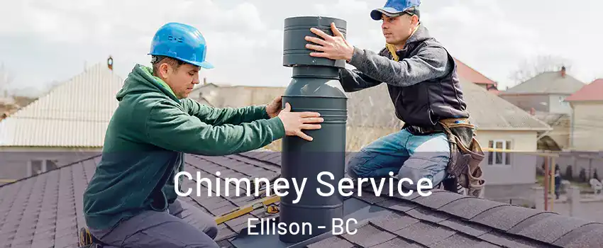  Chimney Service Ellison - BC