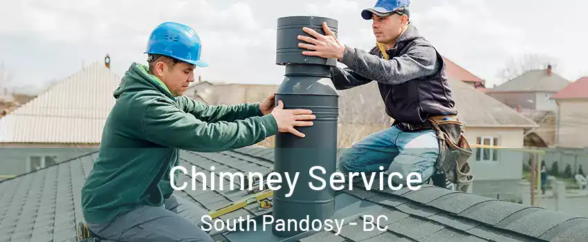  Chimney Service South Pandosy - BC