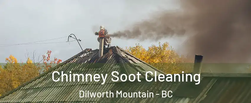  Chimney Soot Cleaning Dilworth Mountain - BC