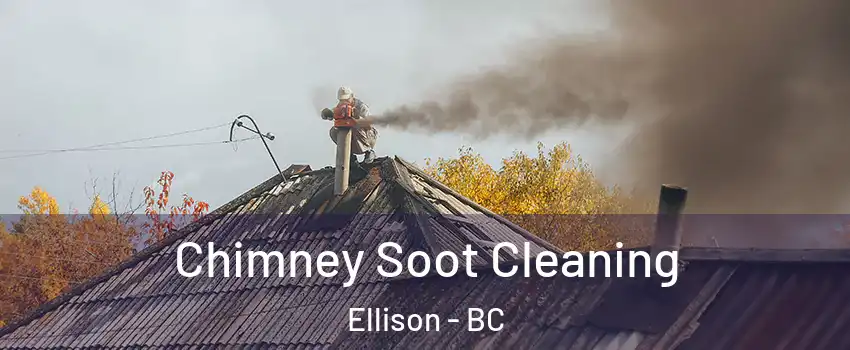  Chimney Soot Cleaning Ellison - BC