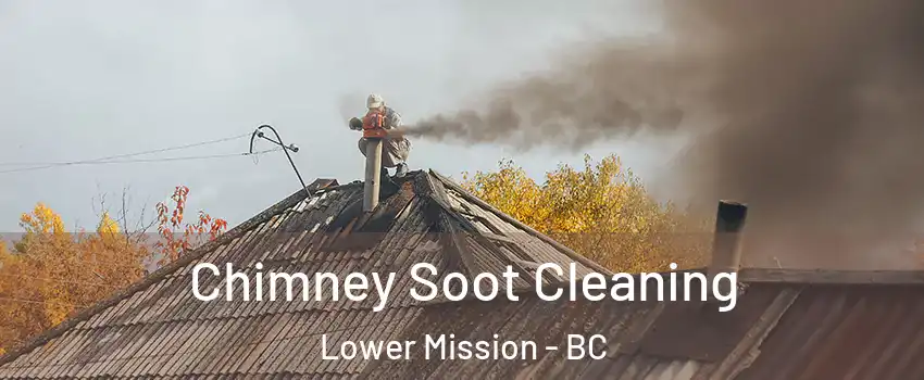  Chimney Soot Cleaning Lower Mission - BC
