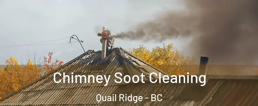  Chimney Soot Cleaning Quail Ridge - BC