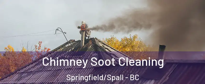  Chimney Soot Cleaning Springfield/Spall - BC