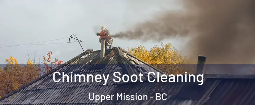  Chimney Soot Cleaning Upper Mission - BC