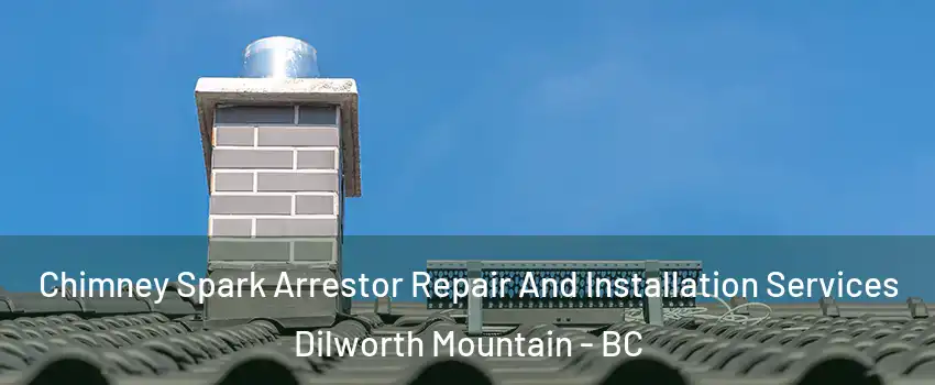  Chimney Spark Arrestor Repair And Installation Services Dilworth Mountain - BC