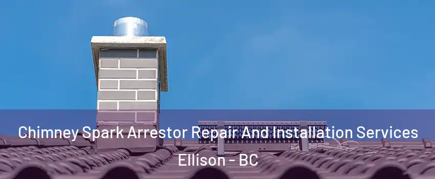  Chimney Spark Arrestor Repair And Installation Services Ellison - BC
