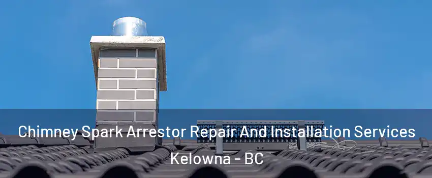  Chimney Spark Arrestor Repair And Installation Services Kelowna - BC