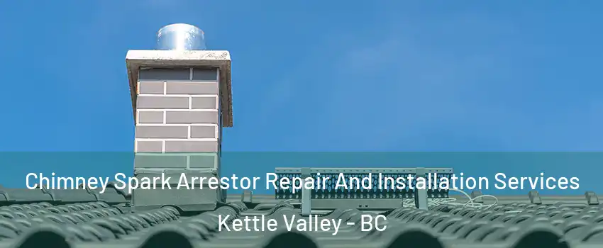  Chimney Spark Arrestor Repair And Installation Services Kettle Valley - BC