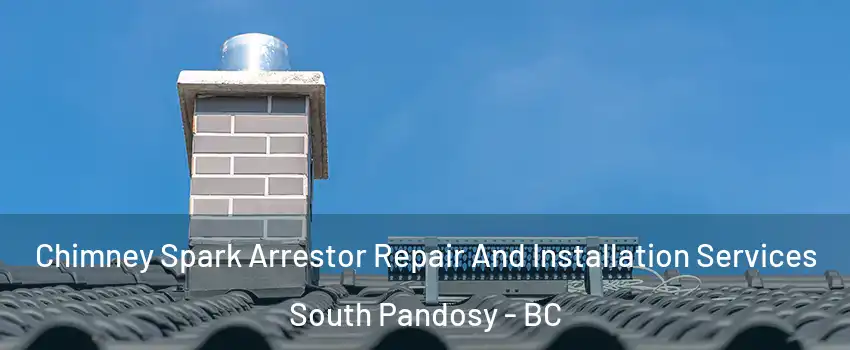  Chimney Spark Arrestor Repair And Installation Services South Pandosy - BC